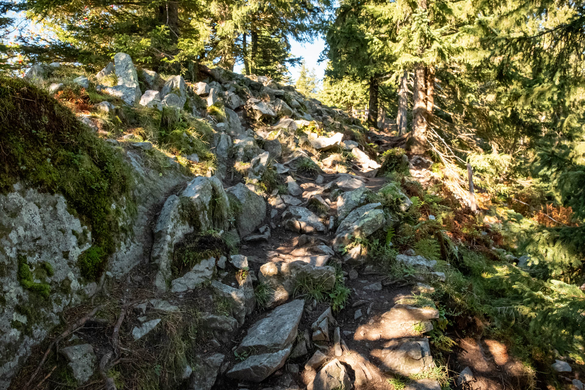 Felsdruchsetzter Weg zur Alpspitz