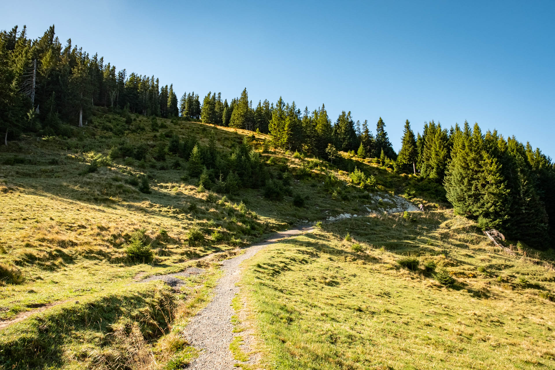 Aufstiegsweg von der Alpspitz zum Edelsberg