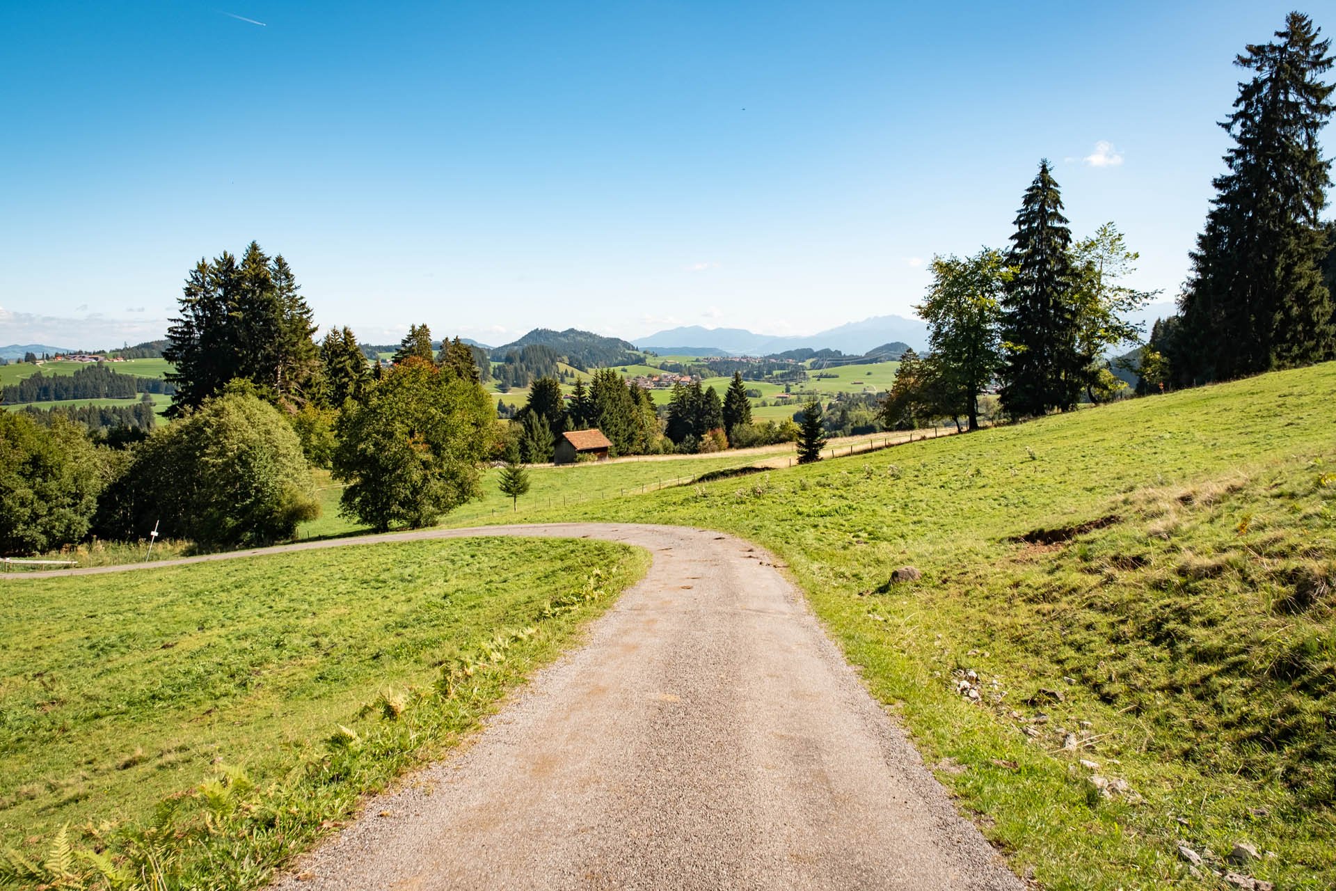 Abstieg mit Aussicht auf der Fahrstraße von der Hündeleskopfhütte nach Pfronten-Kappel (Rodelbahn im Winter)
