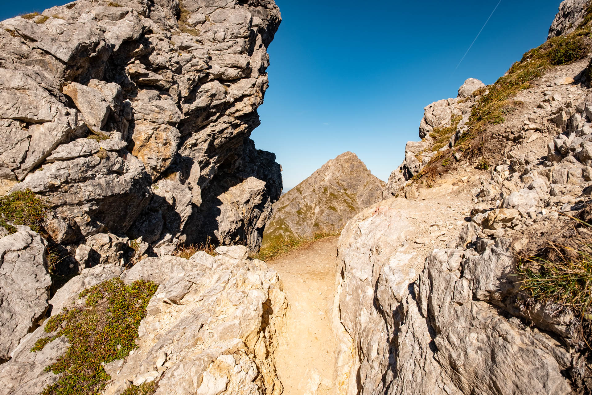 Ausblick von der Fiderepass-Scharte zur Oberstdorfer Hammerspitze
