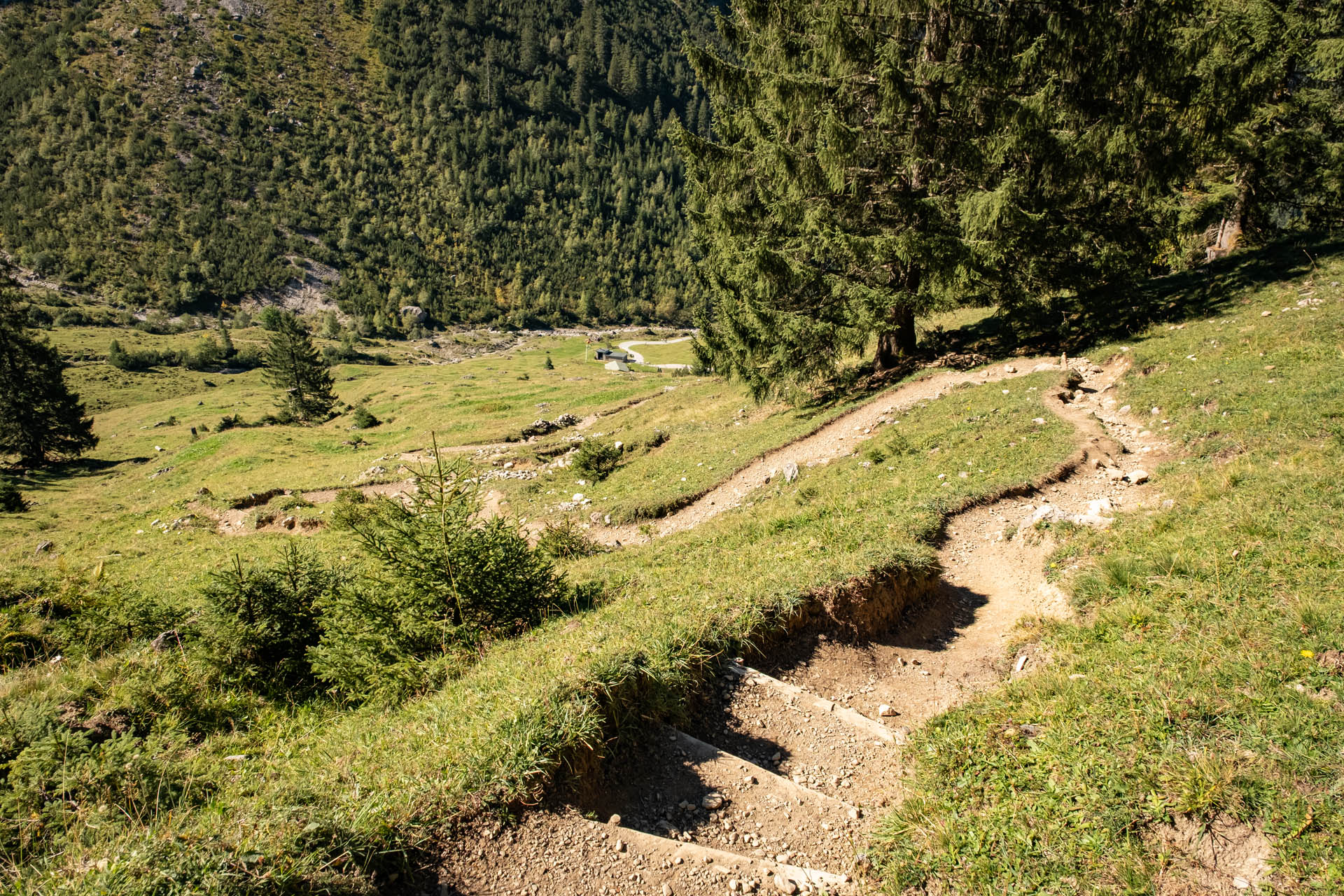 Abstieg zur Fluchtalpe im Wildental