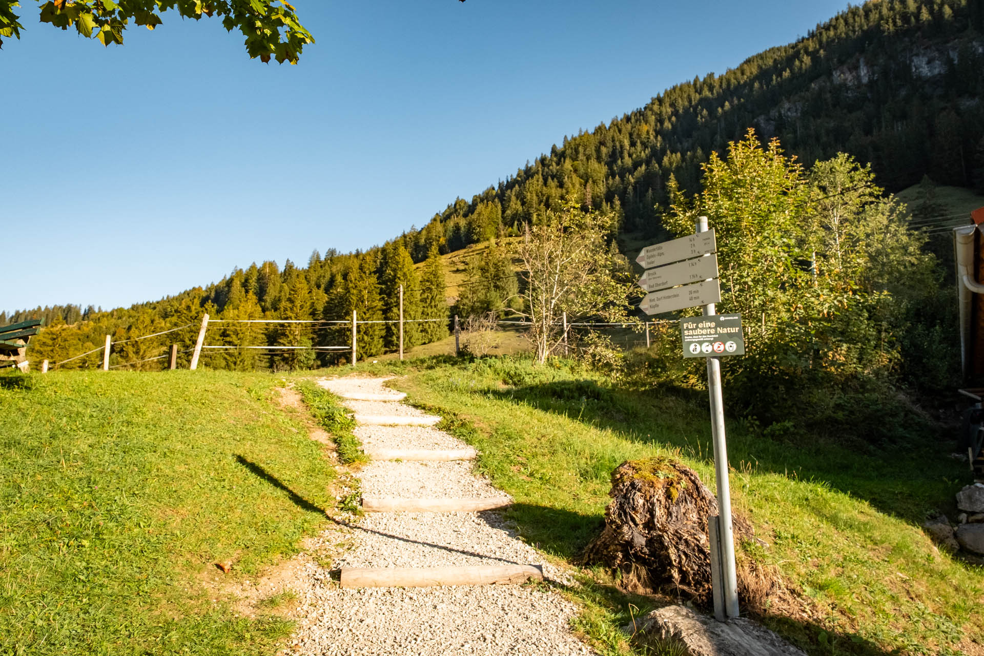 Wanderweg Richtung Zipfelsalpe