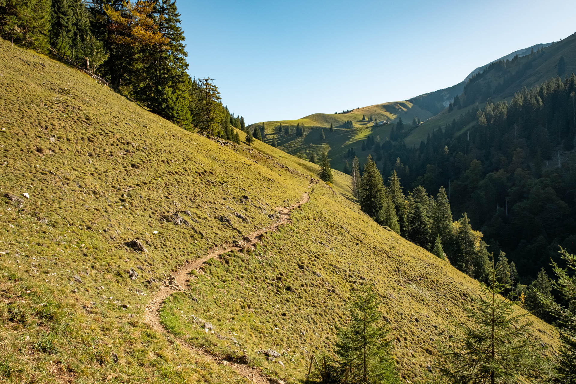 Wanderweg zur Zipfelsalpe auf dem Weg zu Ponten und Bschießer
