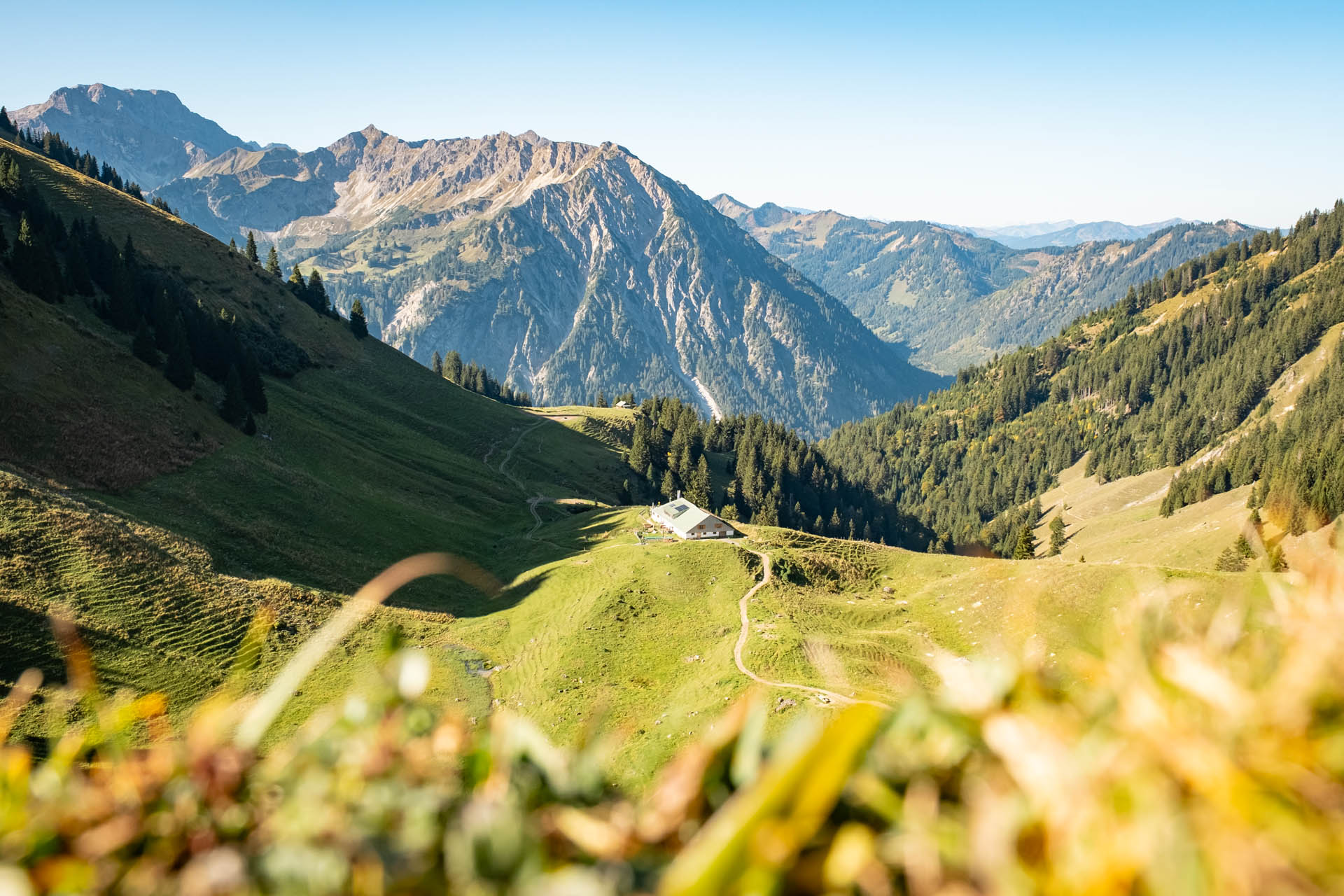 Blick zurück zur Zipfelsalpe