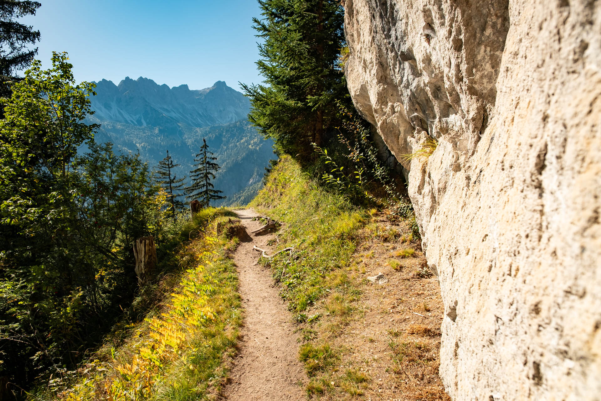 Wunderschöner Wanderweg am Wildfräuleinstein oberhalb von Hinterstein